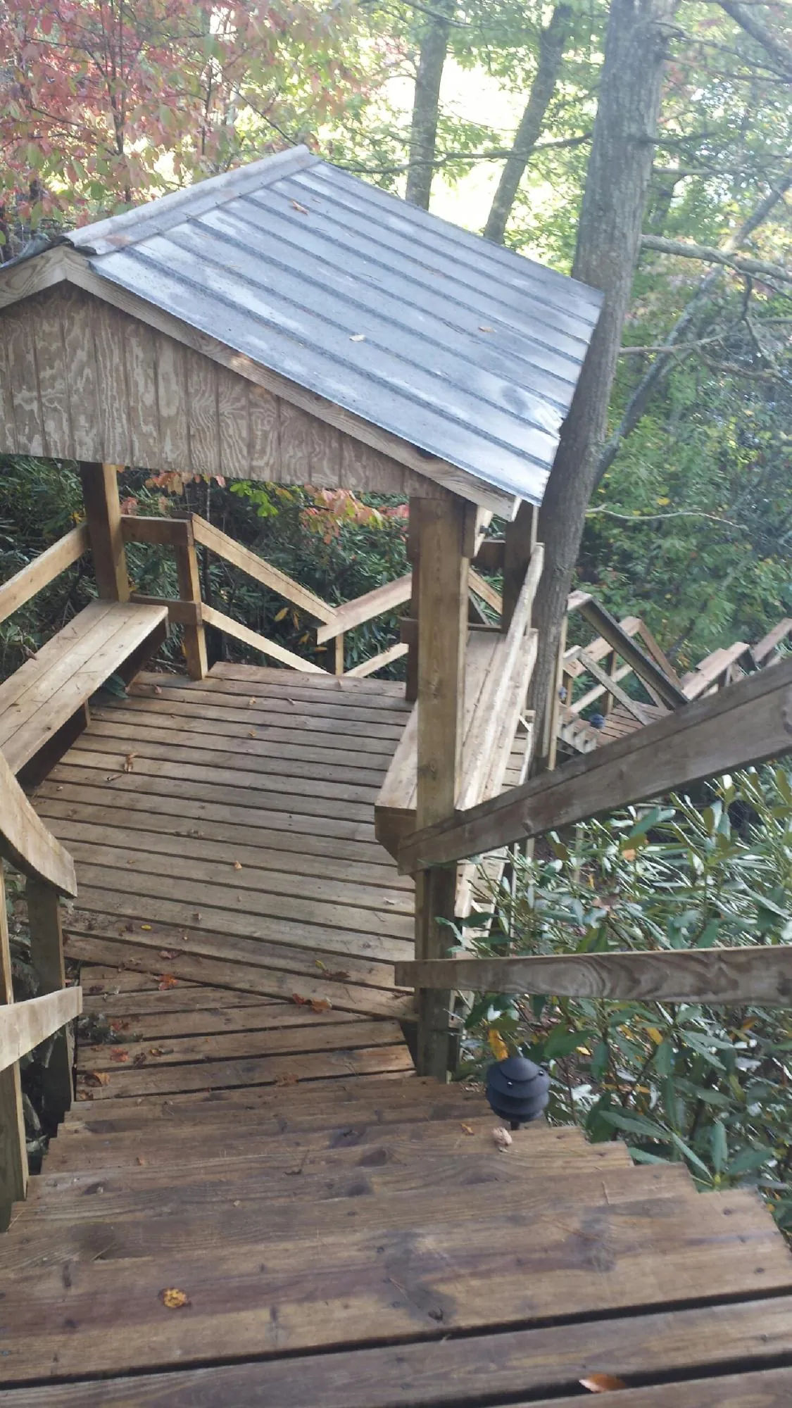 Metal roofed shelter over wooden steps on a wooded walkway — Skylight Repair & Installation work by our crew in Lacey