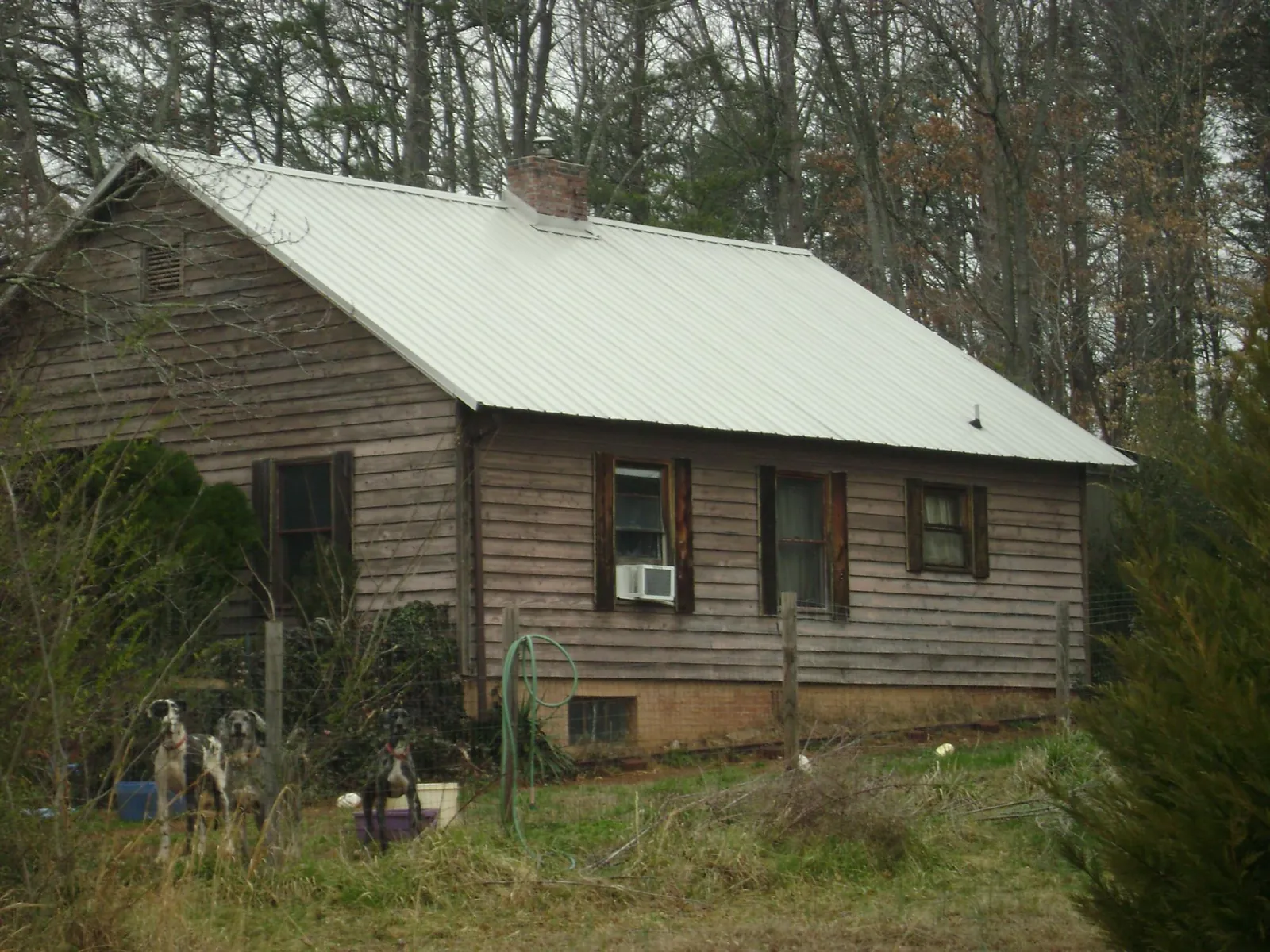 White metal roof on an old wood sided farmhouse, from a Metal Roof Installation job in Lacey